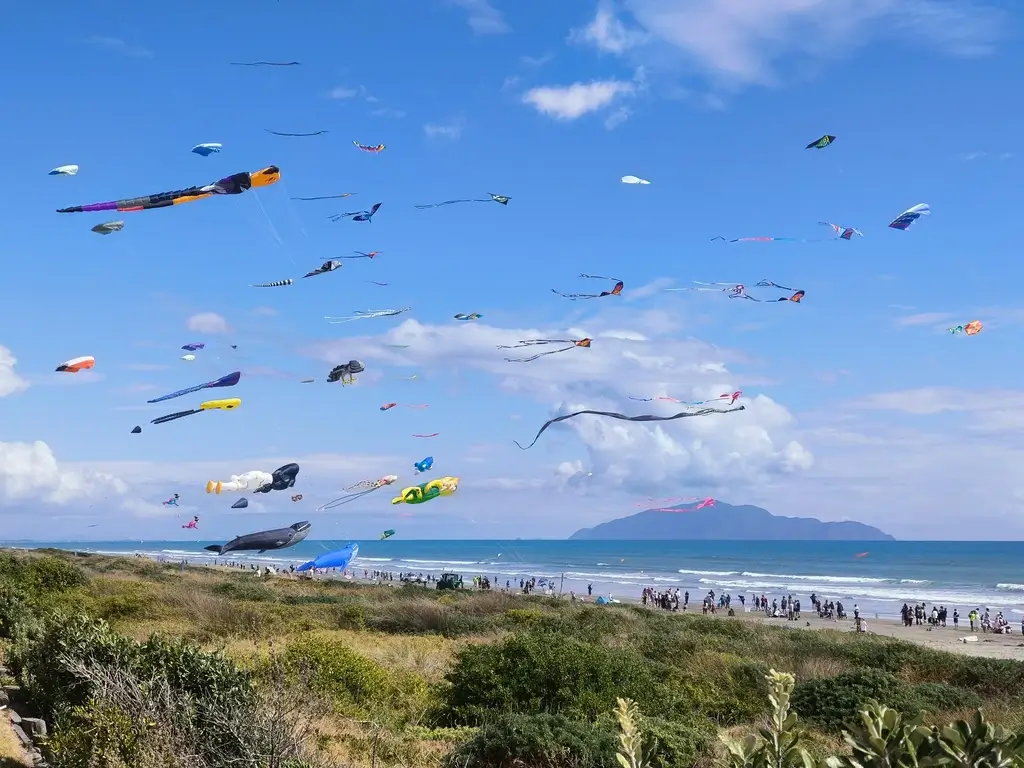 Coastal landscaping Otaki Beach – native pohutukawa shelter planting with timber deck overlooking dune